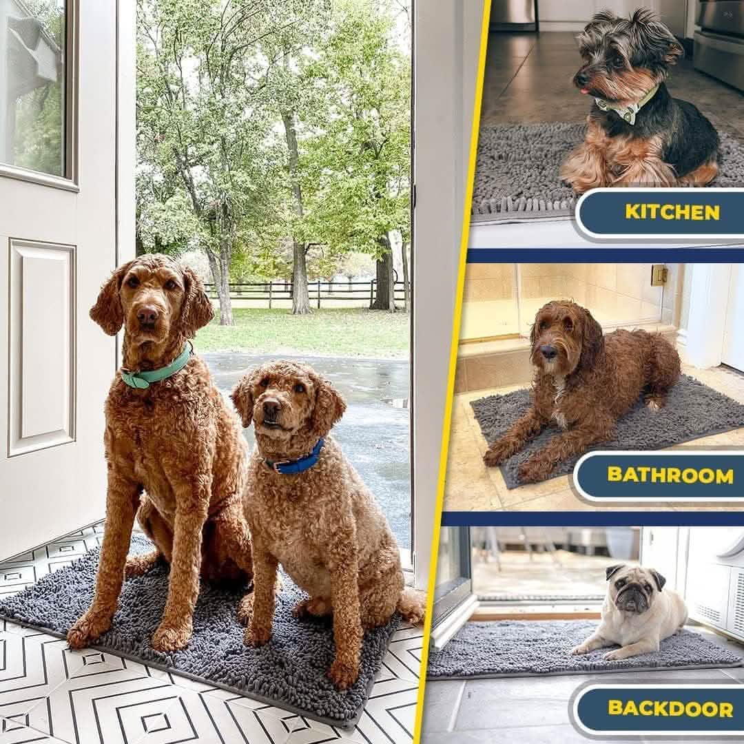 PawDry™ Pet Door Mat